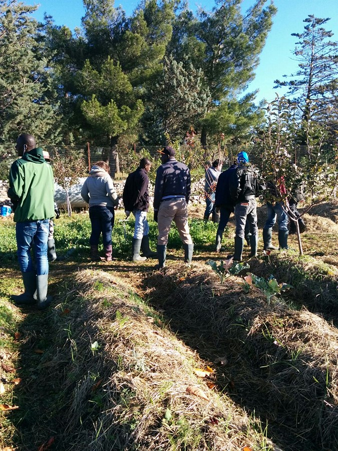 Laboratorio di Orto Sociale