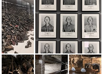 27 Gennaio: ricordare per diventare attori protagonisti nella difesa dei diritti di tutti